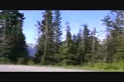 Mount Baker - The Drive Down