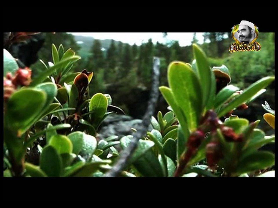 أغيب وذو اللطائف لايغيب - من أشهر ابتهالات الشيخ سيد النقشبندي