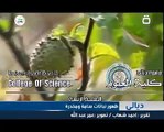 22 ندوة قسم علوم الحياة حول النباتات السامة والمخدرة في محافظة ديالى