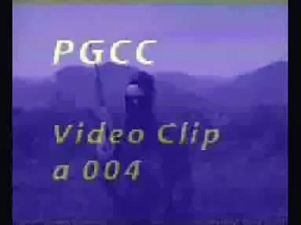 BRITISH MUJAHIDEEN IN BOSNIA