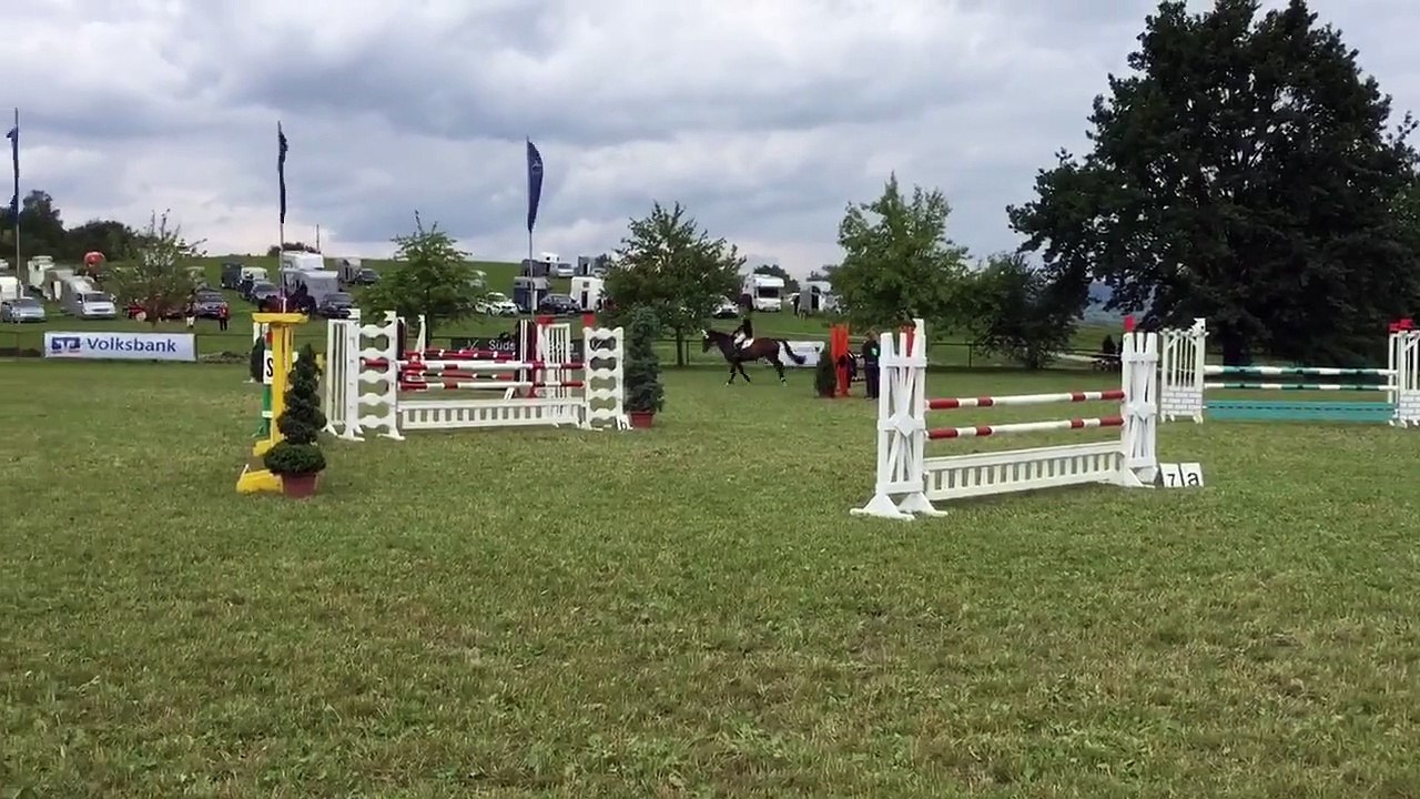 Joachim Waltner mit Contessa