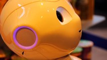 Emotion-Reading Robot ‘Pepper’ Sells Out In A Single Minute