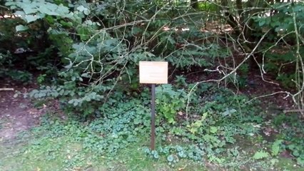 Ryan Gander "Escape Hatch to Culturefield 2012" dOCUMENTA13