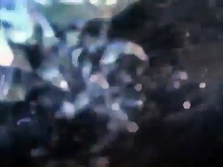 Orca vs tiburon blanco