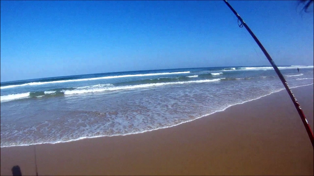Peche du bar dans les baines - Touche en direct HD