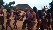 Brazilian indigenous culture