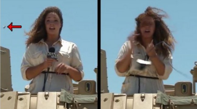 News Reporter Gets Harassed Relentlessly By Swarming Cicadas