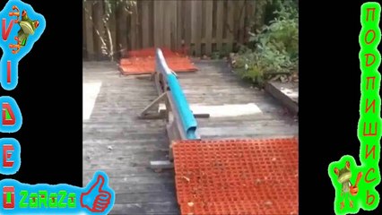 А НЕ ЧЕГО ЛЕТОМ НА ЛЫЖАХ КАТАТЬСЯ ПРИКОЛ