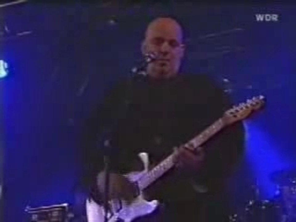 Master of Reality - Blue Garden