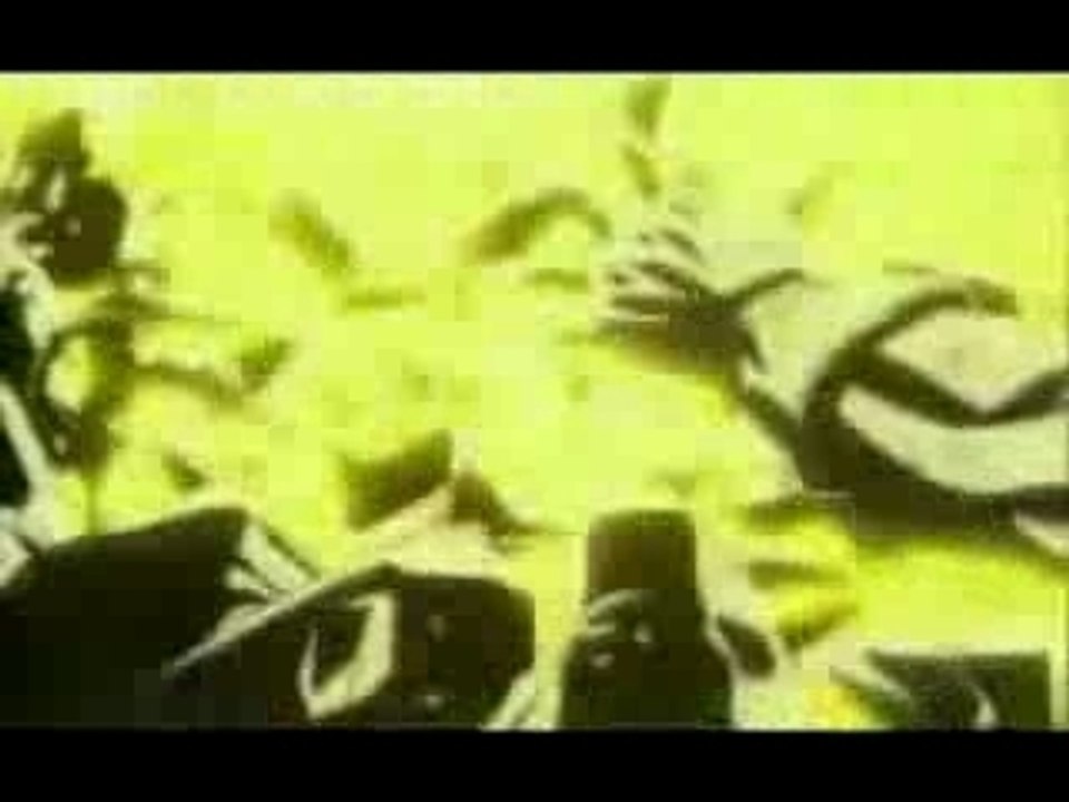 Project 33 AMV Elite
