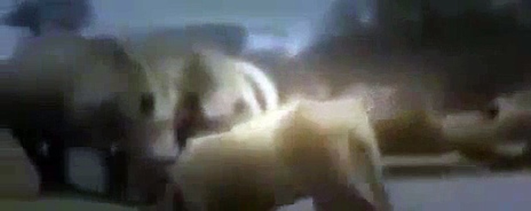 Full Documentaries Hungry Lions Discovery Channel Animals, National Geographic Wild HQ