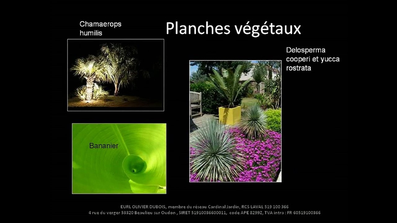 Evolution univers contemporain avec vues de nuit