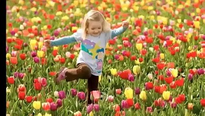 O Que Eu Posso Desejar A Você Hoje