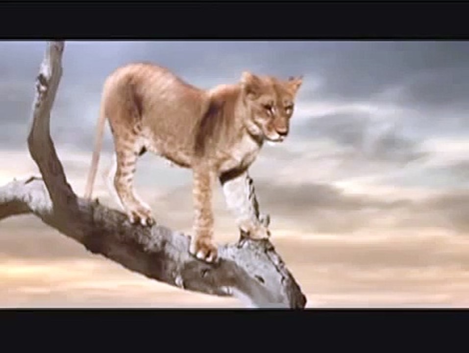 Mighty Dog: Lions vs.