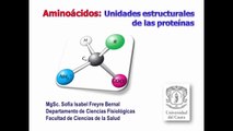 Aminoacidos y enlace peptidico