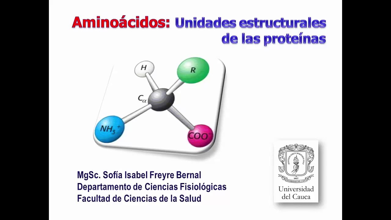 Aminoacidos y enlace peptidico