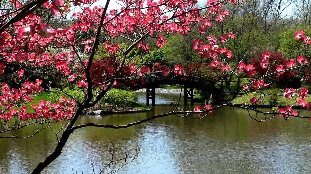 życia mała garść ***** Mariusz Kalaga