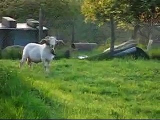 Relaciones dificiles