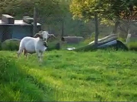 Relaciones dificiles