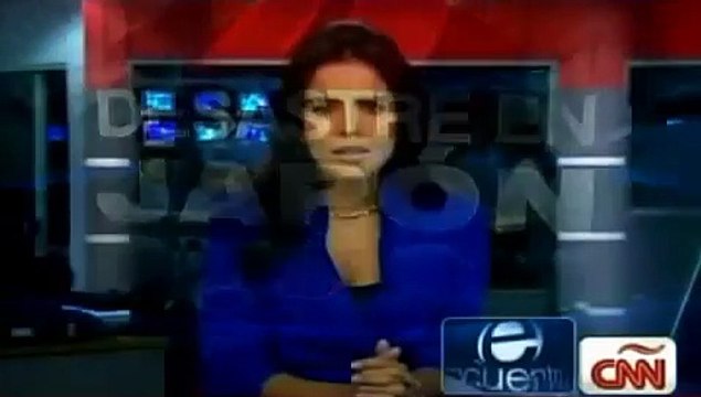 JAPÓN PERROS RESCATISTAS