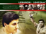 Lebanese forces: Lebanese christians