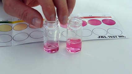 Modern Koi Blog #13 - Günstig Nitrit messen mit JBL