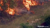 Australian heatwave sparks fires in Sydney