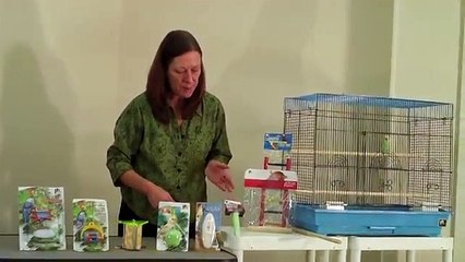 Prevue Hendryx Parakeet/Cockatiel Starter Kit and Flight Cage