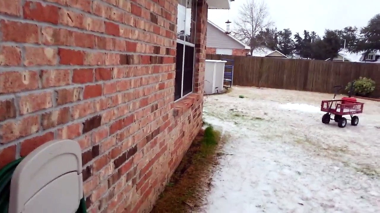OUR YARD WITH SNOW