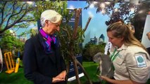 IMF Chief Christine Lagarde Holds Koalas at G20