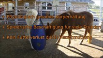 Geniale Pferdefütterung für Heu / Raufutter selber bauen | Pferdekommunikation.org