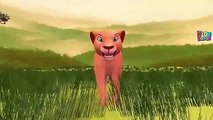 Lion King Finger Family Cartoon Nursery Rhymes | Lion Animal Finger Family Rhymes