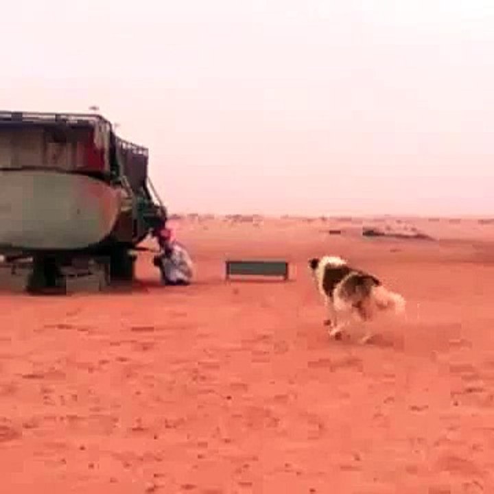 VID-20150212-WA0022