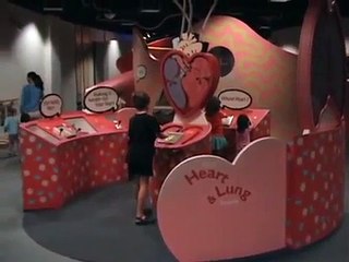 Hawaii Children's Discovery Center