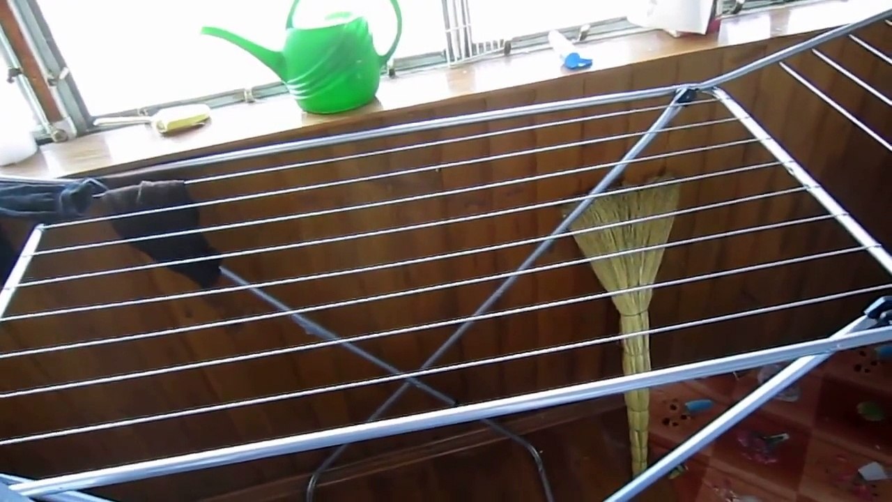 Попугай Ляля купается на балконе