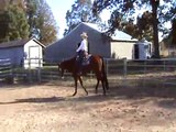 Ben Skippin Scool- all-around horse- Western Pleasure