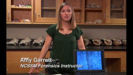 Microscopic Comparison of Hair and Fiber Evidence