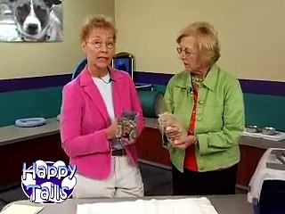 Happy Tails Animal Values and Overpopulation  Cats Pt 2