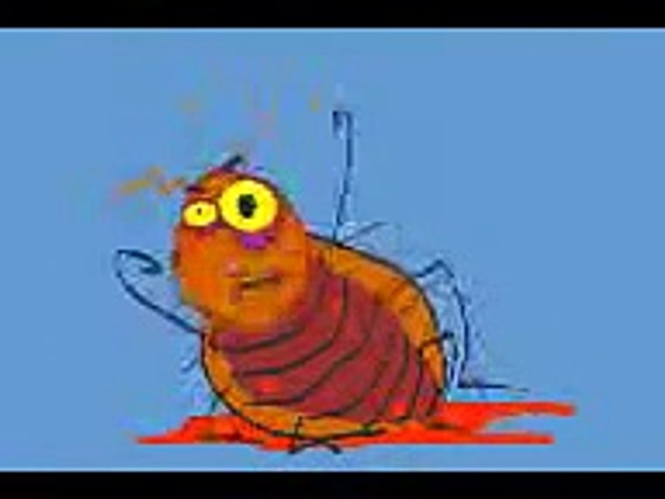 Barata xingando