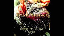 Yansa Skip - 2015 - Irish Sunset - Beija Flors Crystal Mix.