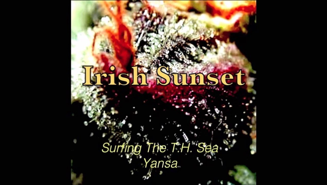 Yansa Skip - 2015 - Irish Sunset - Beija Flors Crystal Mix.