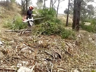 stihl fs 560 c-em   stihl fs 550 c-em