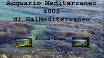 Acquario Mediterraneo 400l prima delle modifiche