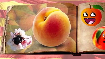 FRUTAS Y VERDURAS PARA NIÑOS