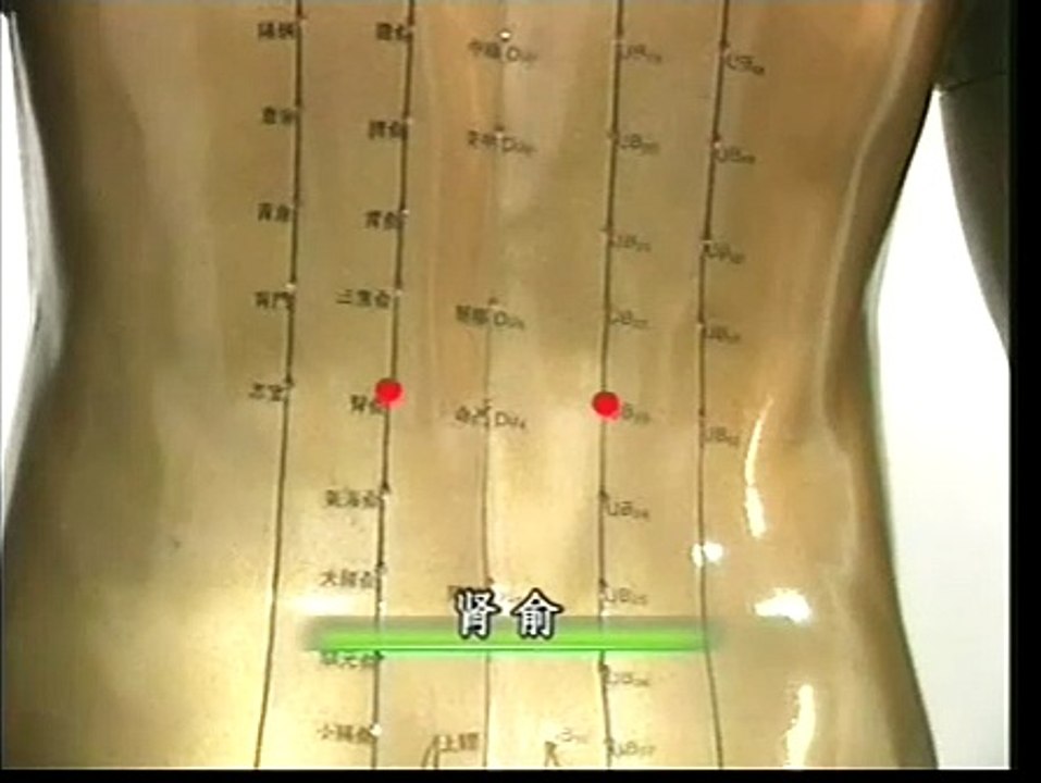 DIY 高血压病的家庭保健推拿 (6) 肾俞穴