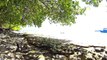 Beach Walk - Fihalhohi Island Resort / Maldives