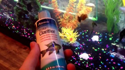Update: 55 Gallon Freshwater Fish Tank