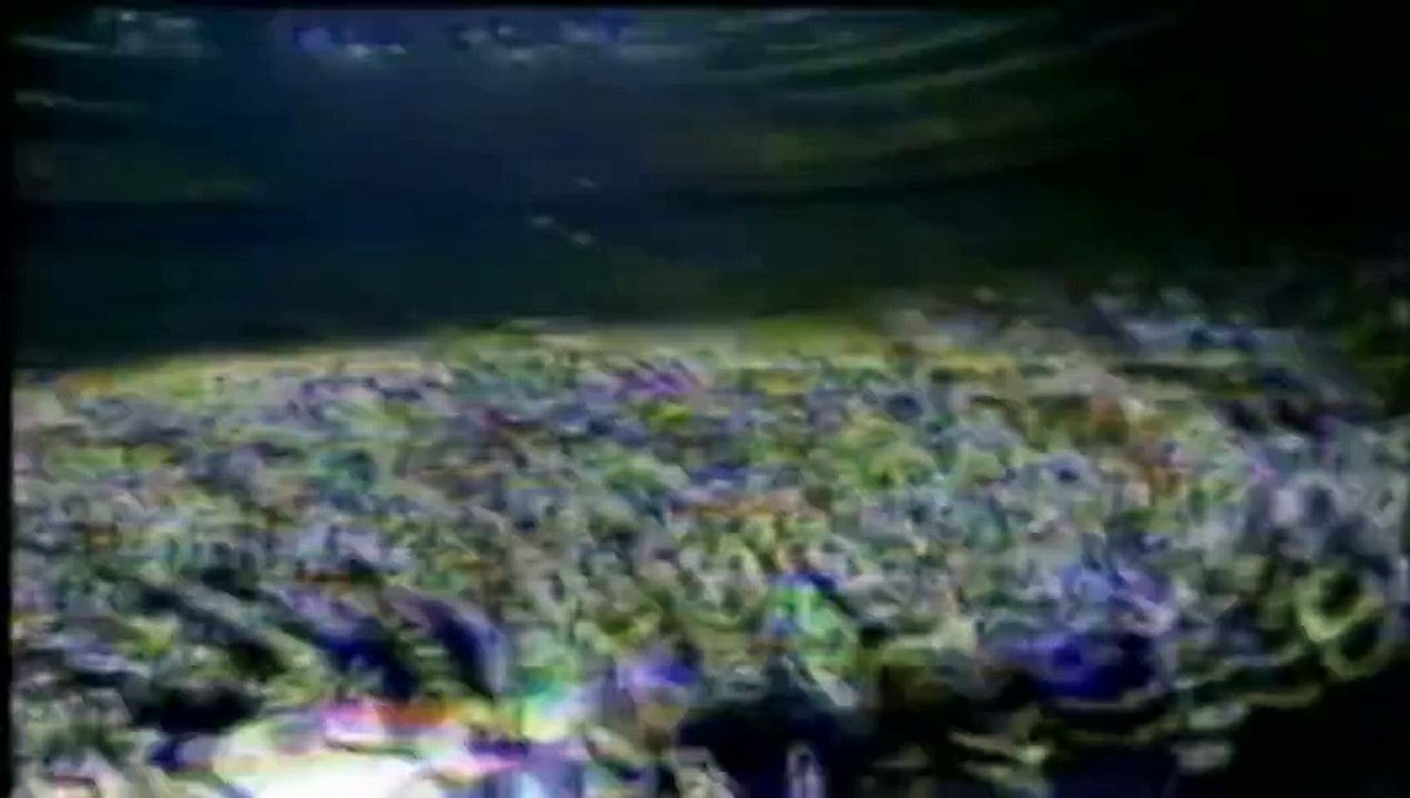 U2 BONO CAM ELEVATION EASTER EGG