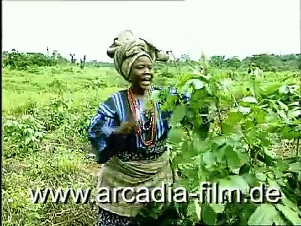 Adire - Indigostoffe der Yoruba (Ausschnitt)