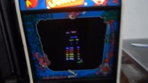 Donkey Kong Jr. Arcade Game